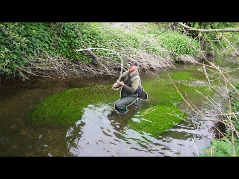 Med spinner efter åens bækørreder