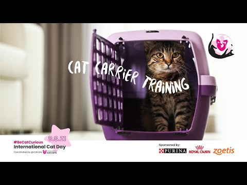 Cat Carrier Training - Step 4 Closed carrier with door ON