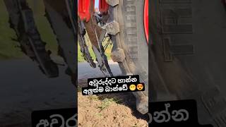 Download lagu ඉස්සරවත් හෑව වගේ නෙමෙයි දැන් හාන්න ගියාම 😍😍 #pattasindu #neyyattinkara #kottakkal #xcavator #dance mp3