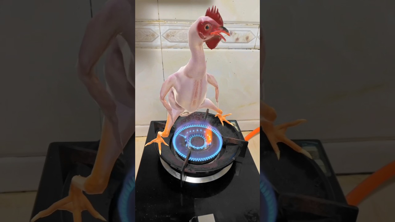 New Chicken Song 🐔 (Dj Remix) #chicken #chickendance