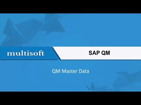 Sample Video for SAP QM Master Data 