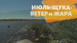 Щука в середине лета на спиннинг