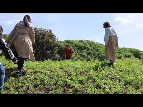 造形デザイン学科 超短編映画『旅行に逝きます』/ inspired by "超短編映画 ONE PIECE"
