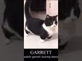 Garrett