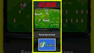 Capa de Forest Secret Area