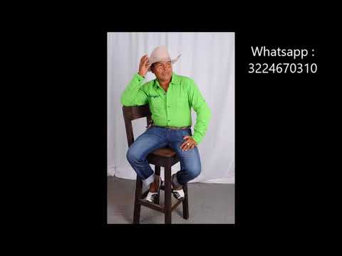 SOY EL PROPIO GALLO PINTO - EL HIJO DEL LLANERAZO