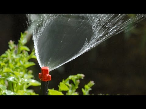 Antelco Single Piece Micro Irrigation Spray Jets