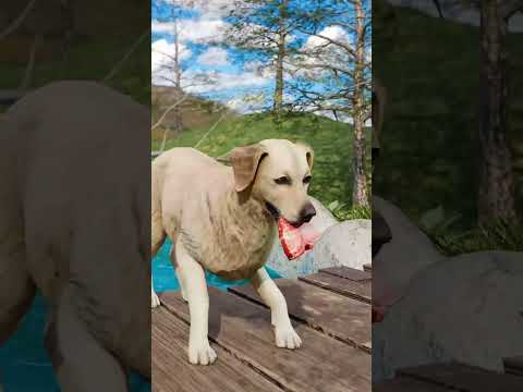 लालची कुत्ते के साथ जो हुआ 😨 #shorts