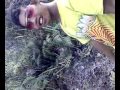 Seks