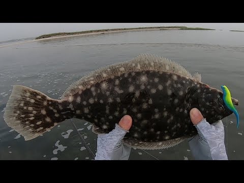 Flats and Bar Flounder (Fluke) Fishing with New Gulp Color