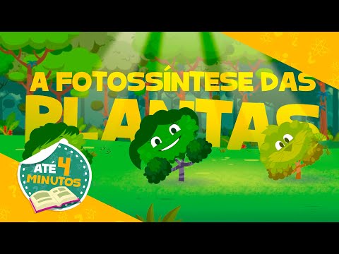 🌱 A FOTOSSÍNTESE DAS PLANTAS 👩‍🏫 Para sala de aula l Aprenda com Luna - O Show da Luna!