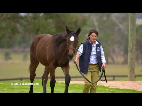 Buy into the Frankel success story