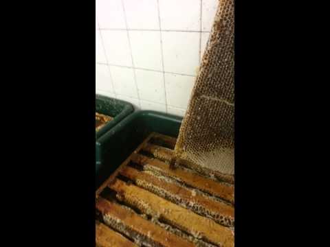 Uncapping honeycomb using a hot air gun