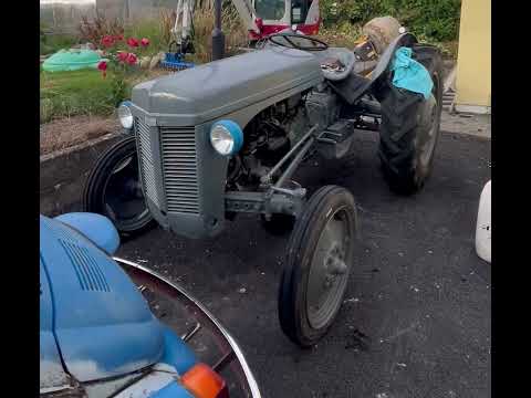 1950 FERGUSON 20 Petrol - Image 2