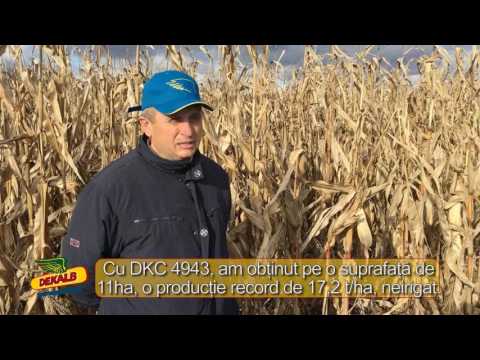 Testimonial DKC 4943 - Beres Anton