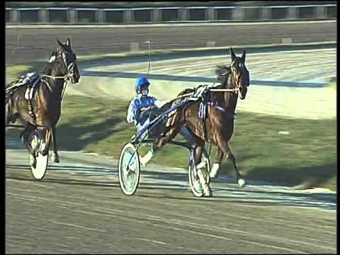 Trotto 27/12/2015 - 3° corsa