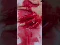 Zareen Khan Shot Reel Mode Zareenkhan Zarinkhan Villainess Shot