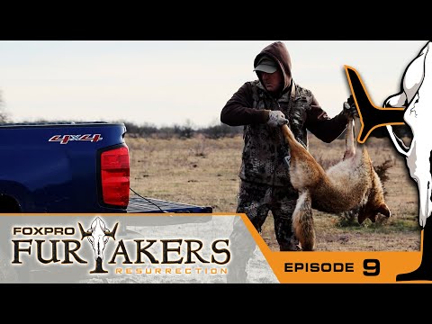Calling Winter Bobcats and Coyotes | FOXPRO Furtakers Resurrection