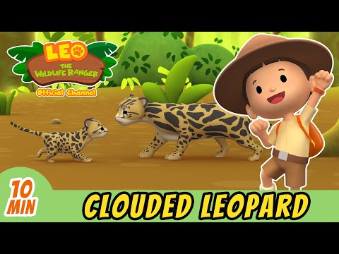 Witness21 Editor  2021 11 26