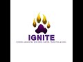 Ignite Week 5 Day 2 Workplace Hostility, Aggression and Mistreatment (WHAM)