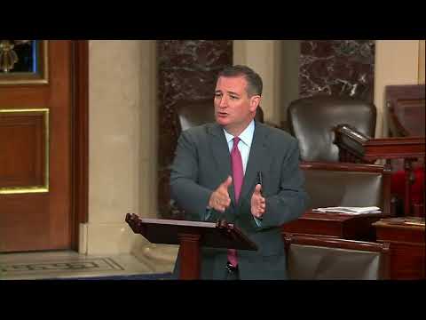 Sen. Cruz Delivers Floor Speech in Support of Immigration and Customs Enforcement