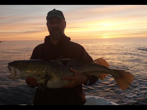 Team Somnium - Compilatie Spodsbjerg 2022