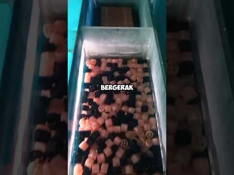 Kaldness K1 Spins to Maximum