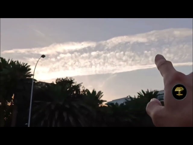 Fumigaciones en Gran Canaria