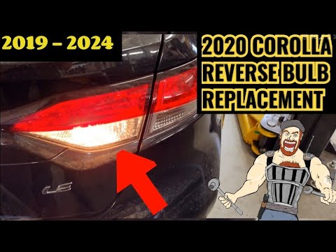 2019 - 2024 TOYOTA COROLLA REVERSE LIGHT BULB  REPLACEMENT TUTORIAL 2019 2020 2021 2022 2023 2024