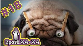 ПОДБОРКА ПРИКОЛОВ. СМЕШНОЕ ВИДЕО #18 || 2раза ХА-ХА