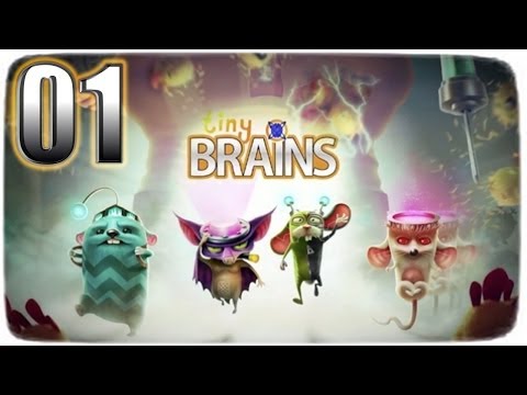 tiny brains pc requirements