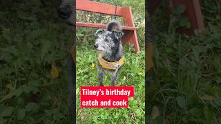 Tilney was thrilled about this extra special birthday treat #doglife #fishing #rescuedog