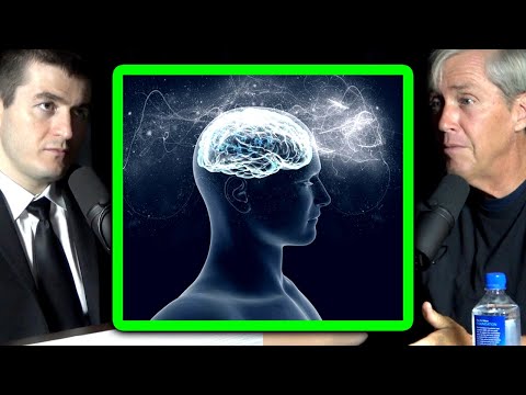 The origin of intelligence in the human brain | Jeff Hawkins and Lex Fridman
