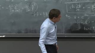 Free Schrödinger equation