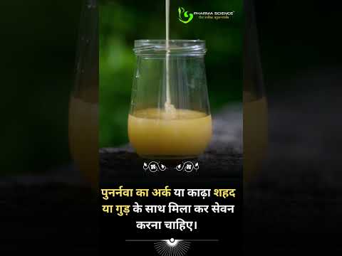 Treatment of stones with Ayurvedic and home remedies renovate #aurveda #kidneystone #stone