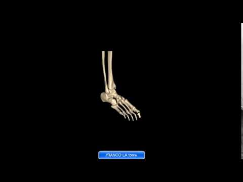 Radiografie della colonna cervicale di neonati Esercizio sdraiato con osteocondrosi cervicale