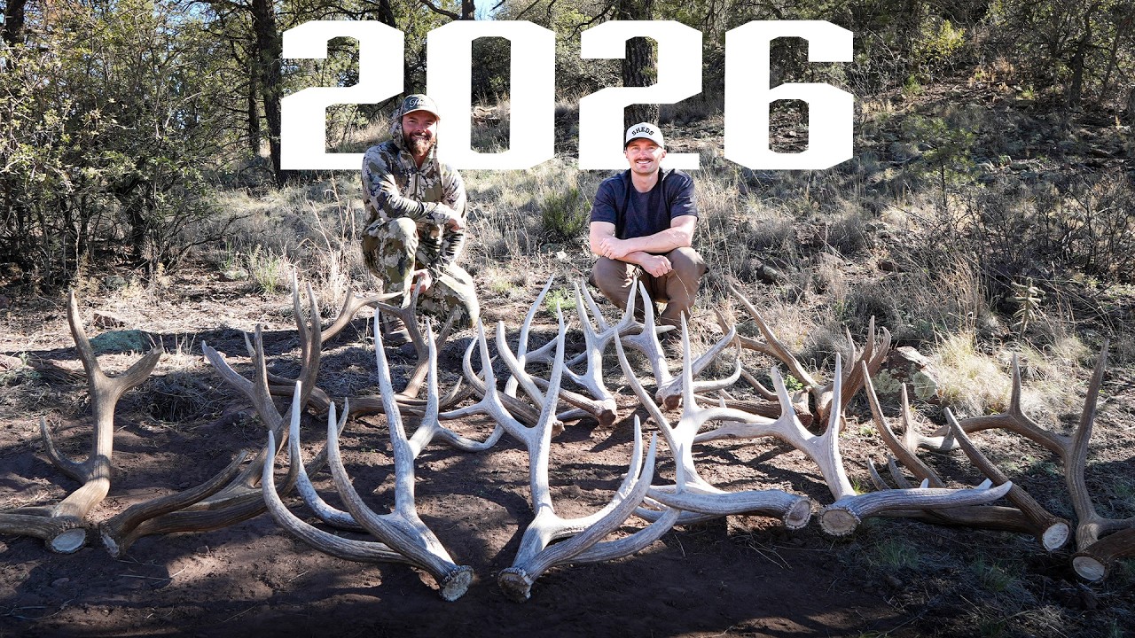 We Hiked 40 Miles Searching for Elk Antlers