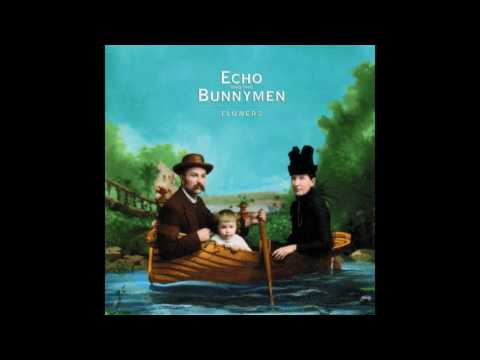 Flowers video