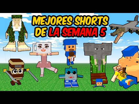 LOS MEJORES SHORTS DE LA SEMANA 5