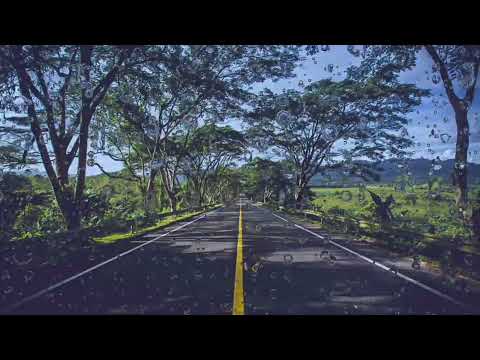 Tree image effect background no HD quality video Image effect background no HD video Image 