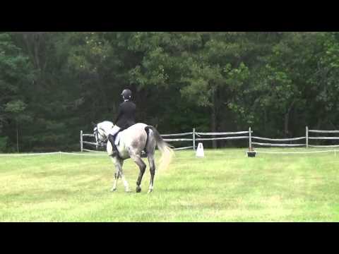 Daddy's Lambo Preliminary test B GHF