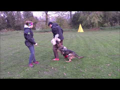 Voldemort z Jukasu - protection - 6 months