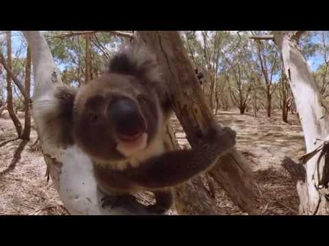 Hanson Bay Wildlife Sanctuary