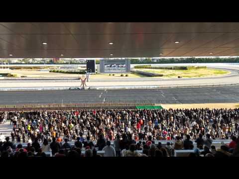 2015/12/27　第60回 有馬記念（GI）　中京競馬場