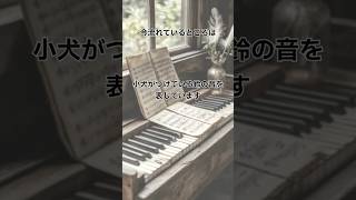 Download lagu 【聴いたことのあるピアノ名曲集】バッハ~ドビュッシーまで名曲を揃えました♪作業用・集中用│BGM #classic #bgm #piano #classicalmusic #shorts mp3 Download lagu 【聴いたことのあるピアノ名曲集】バッハ~ドビュッシーまで名曲を揃えました♪作業用・集中用│BGM #classic #bgm #piano #classicalmusic #shorts mp3