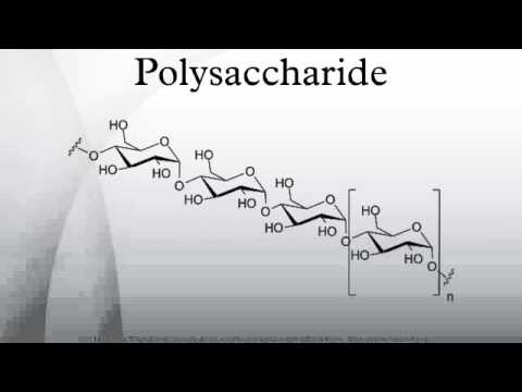 多糖 (Polysaccharide)