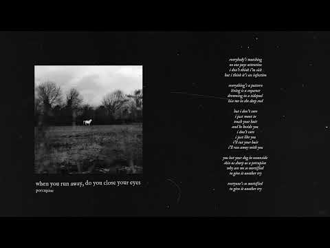 Video thumbnail for ​porcupine