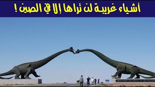 أشياء غريبة لن تراها إلا في الصين ! أشياء غريبة لن تراها إلا في الصين !