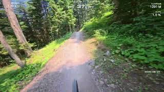 Paganella Bike Park 2026 - Willy Wonka