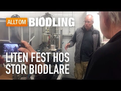 Liten fest hos stor biodlare - After Raps - Wizpings Biodling